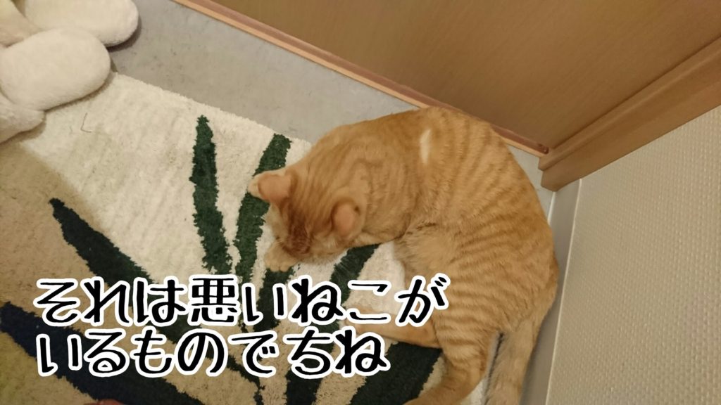 ケッタ