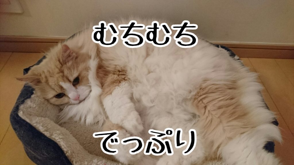 ねこベッドからあふれ出るようにして寝ている